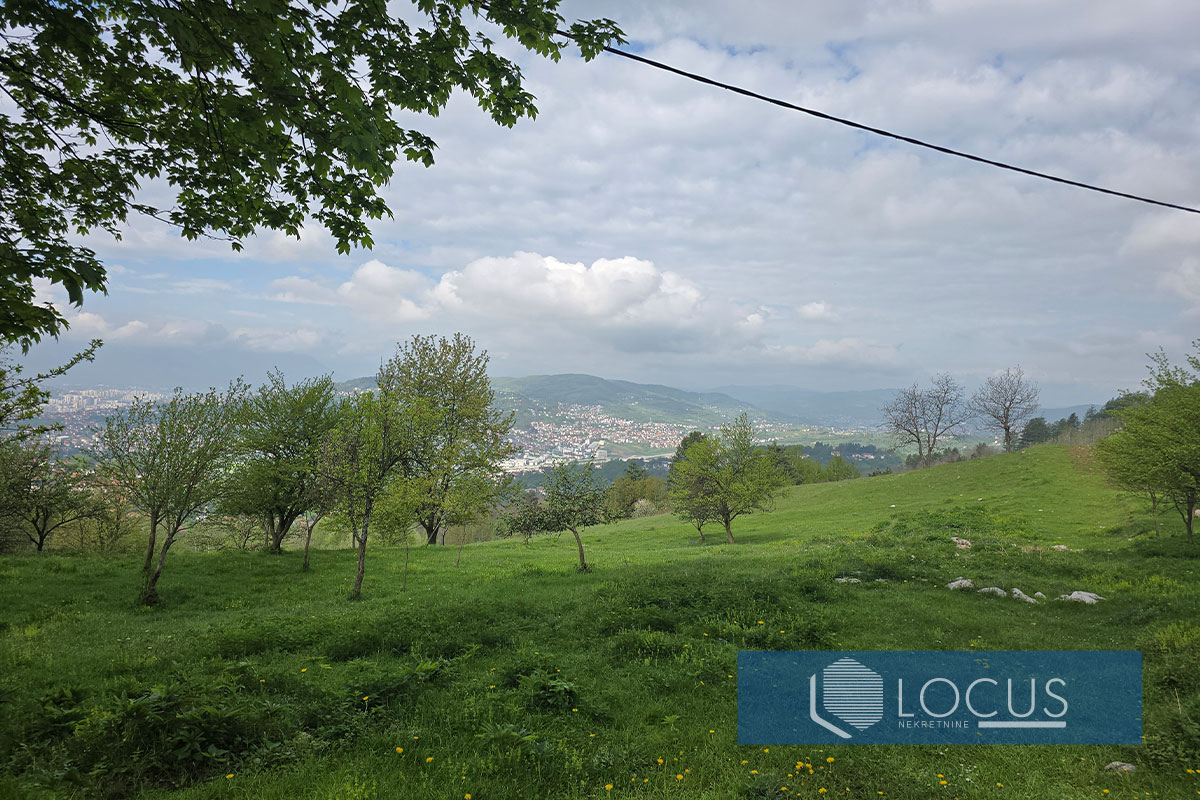 14. Pogled.jpg